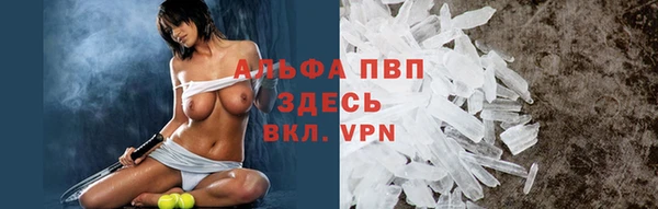 крисы Новодвинск