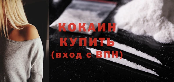 крисы Новодвинск