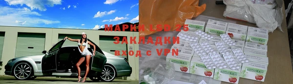 крисы Новодвинск