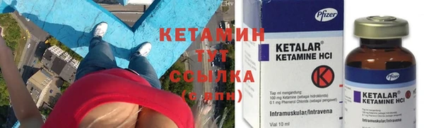 стаф Новозыбков