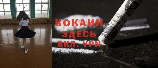 крисы Новодвинск