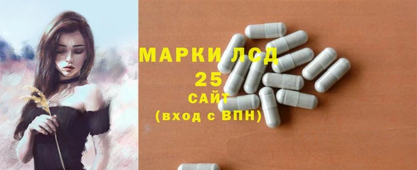 крисы Новодвинск