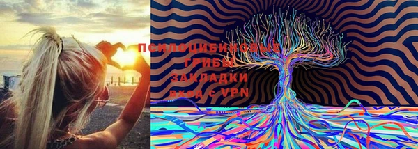 стаф Новозыбков
