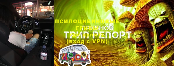 стаф Новозыбков
