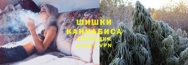 крисы Новодвинск