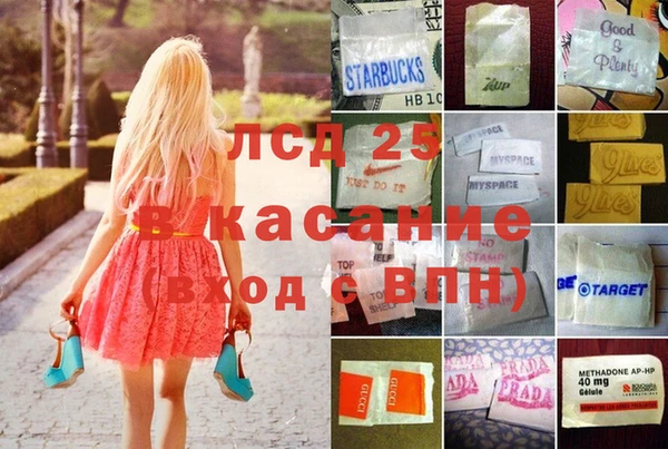 стаф Новозыбков