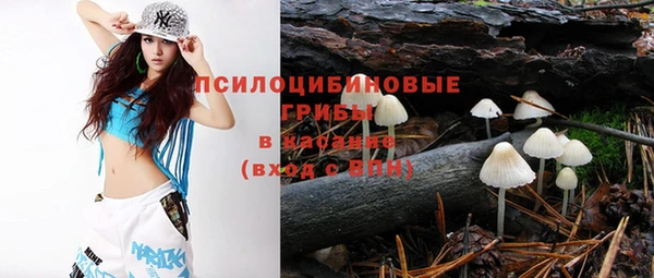 крисы Новодвинск