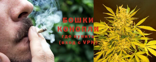 крисы Новодвинск
