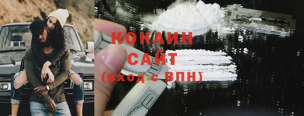 стаф Новозыбков