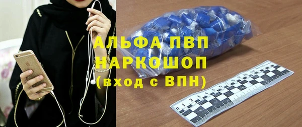стаф Новозыбков