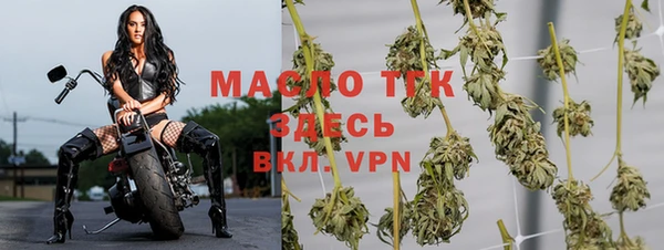 гашик Карталы