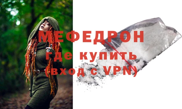 стаф Новозыбков