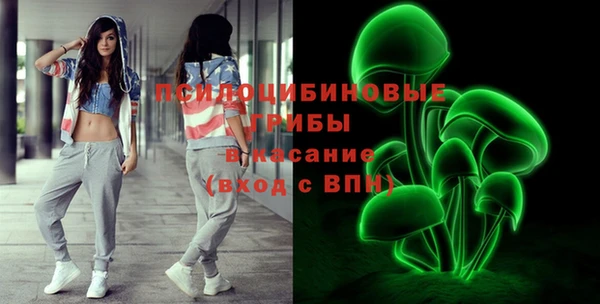 стаф Новозыбков