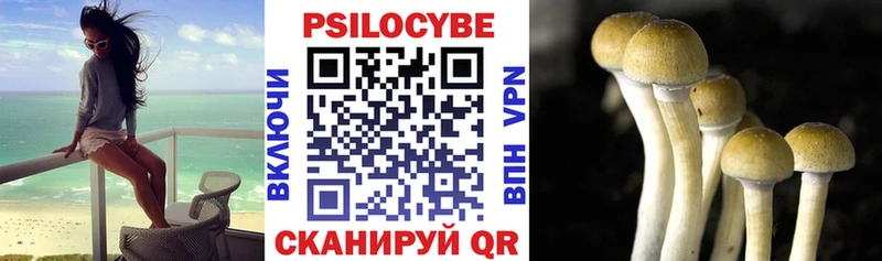 даркнет состав  Красновишерск  Псилоцибиновые грибы Psilocybe 